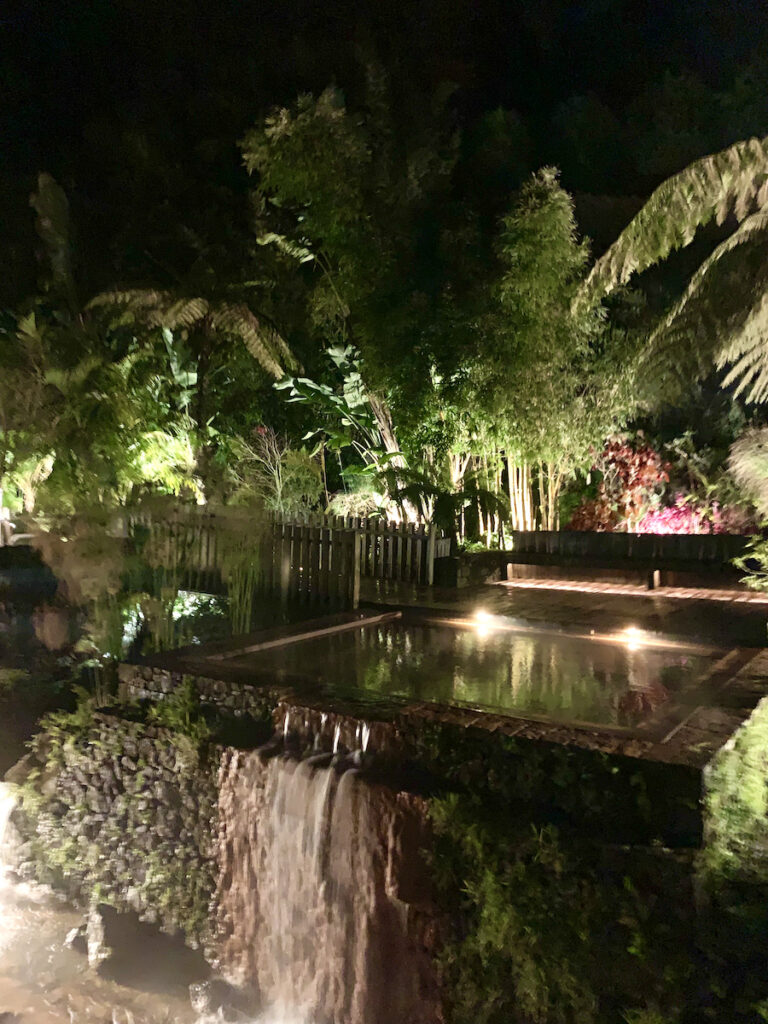 Thermal pool surrounded by lush tropical vegetation at night in the Azores