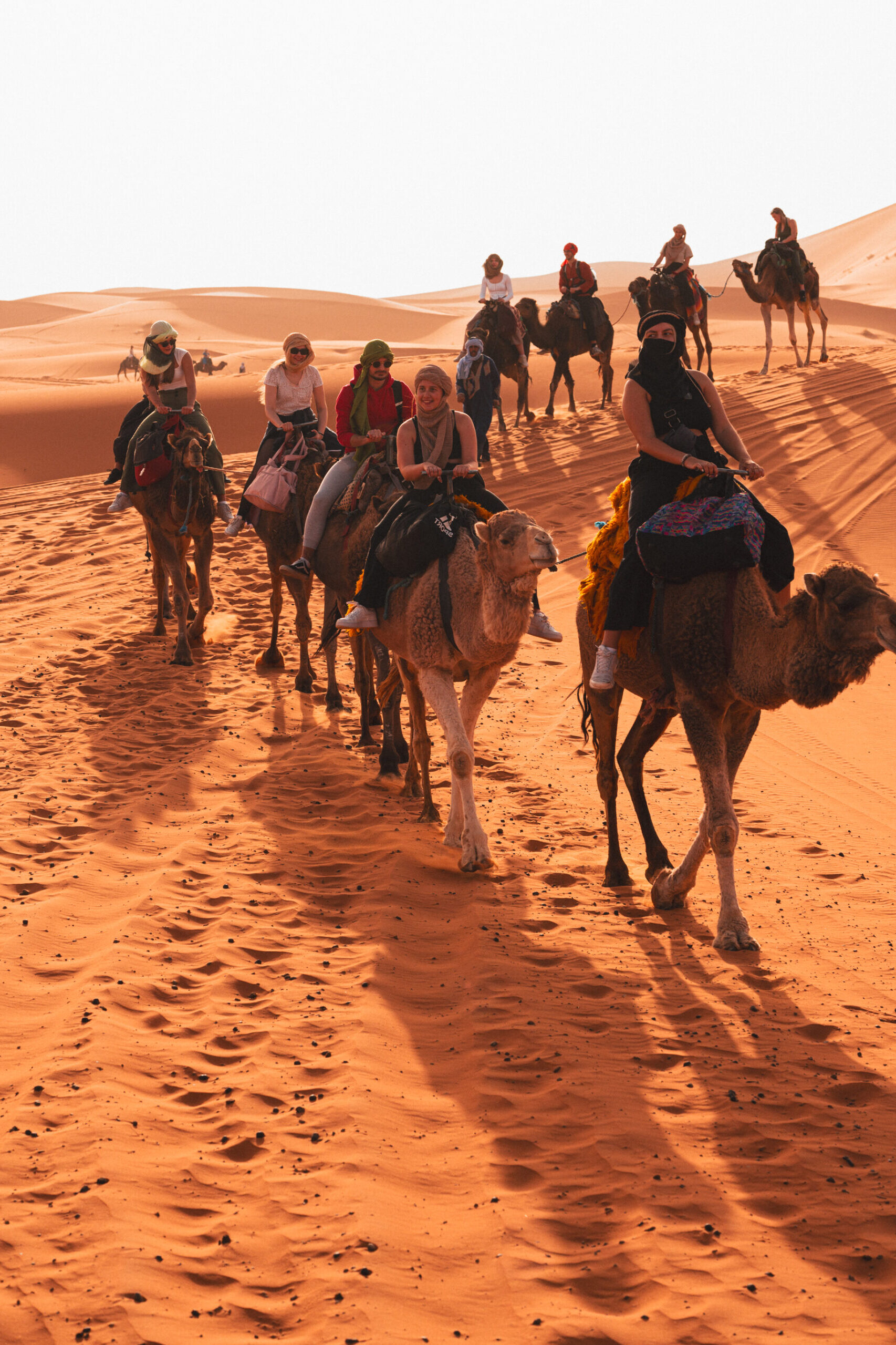 Sahara-camel-activity