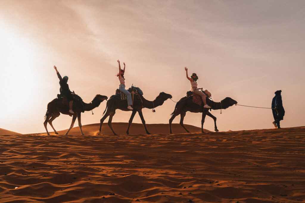 Camel caravan crossing the Sahara Desert at sunset