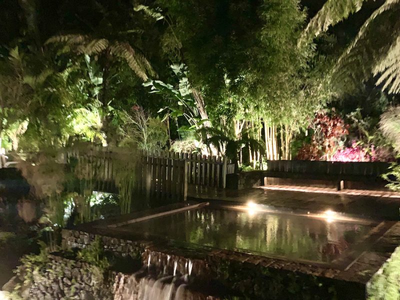 Thermal pool surrounded by lush tropical vegetation at night in the Azores