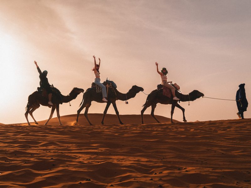 Camel caravan crossing the Sahara Desert at sunset