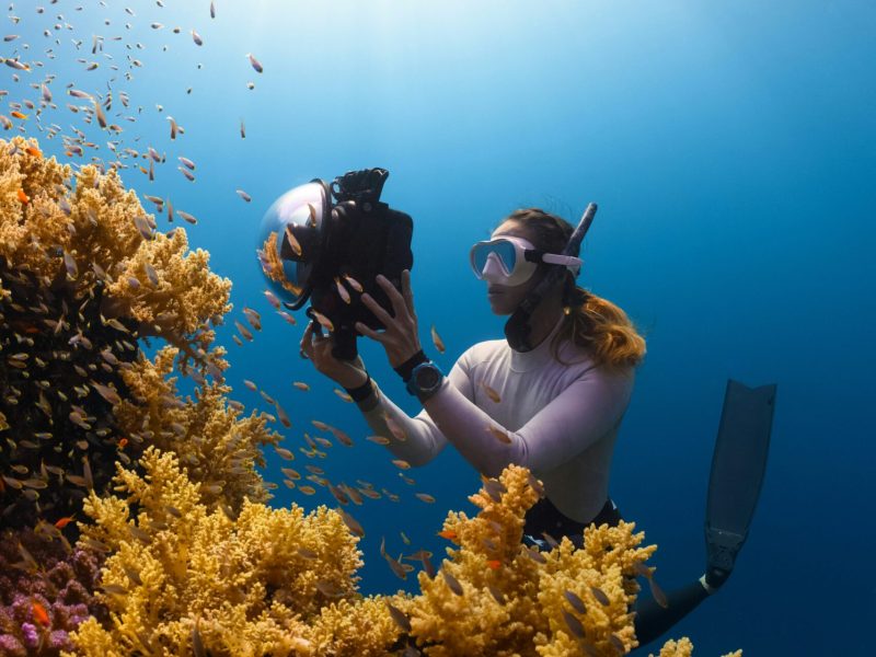 Scuba divers exploring colorful coral reef underwater